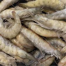 Raw Ecuador Crevettes