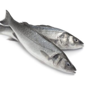 sea-bass-farmed-600x600